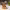 https://res.cloudinary.com/billionhands/image/upload/v1780839189/items/p0pslesq3ukxneqfhi8r.avif-0cover