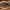 https://res.cloudinary.com/billionhands/image/upload/v1780839193/items/kfwoajgfb1j2nilvdhzc.jpg-3cover