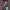 https://res.cloudinary.com/billionhands/image/upload/v1780840340/items/nilgmk8xdseh2bkbejif.jpg-1cover