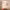 https://res.cloudinary.com/billionhands/image/upload/v1780840699/items/npyku3qi8dl8pwkduexe.webp-1cover