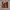 https://res.cloudinary.com/billionhands/image/upload/v1780840768/items/pqqa9vv6lmy4rbno79c3.jpg-0cover