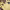 https://res.cloudinary.com/billionhands/image/upload/v1780840887/items/foxawrhmvxiqgkzbvtti.webp-2cover