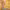 https://res.cloudinary.com/billionhands/image/upload/v1780840898/items/vjdkscw0yv99pjtpfcak.webp-0cover