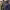 https://res.cloudinary.com/billionhands/image/upload/v1780841538/items/ljbchfbvwythpflu6mfi.webp-1cover