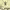 https://res.cloudinary.com/billionhands/image/upload/v1780842405/items/cppzfbuakx3kqootquvi.gif-0cover