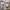 https://res.cloudinary.com/billionhands/image/upload/v1780843658/items/wipbtni0v5wtpy5obcdk.png-3cover