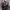 https://res.cloudinary.com/billionhands/image/upload/v1780844030/items/llmw4dwkkcajllsdmmhg.png-0cover