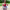https://res.cloudinary.com/billionhands/image/upload/v1780844064/items/frx7l48ip9kidcjt0kjy.webp-2cover