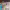 https://res.cloudinary.com/billionhands/image/upload/v1780844220/items/emyxvheslz05hjgbknri.jpg-3cover