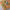 https://res.cloudinary.com/billionhands/image/upload/v1780844232/items/hwb2bscu5fczxfdon07n.jpg-3cover
