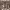 https://res.cloudinary.com/billionhands/image/upload/v1780845874/items/etujxhz6kuwpin5rlg6t.jpg-3cover
