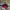 https://res.cloudinary.com/billionhands/image/upload/v1780846923/items/wrcpgbzasvo1jy4sgmcd.webp-1cover