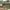 https://res.cloudinary.com/billionhands/image/upload/v1780847574/items/ymmqas5vj64ximsp8utr.webp-2cover