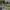 https://res.cloudinary.com/billionhands/image/upload/v1780847577/items/osaxsqlkkygtbzmui1fi.webp-2cover