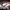 https://res.cloudinary.com/billionhands/image/upload/v1780847999/items/cotyvd5gyczsusjmuls1.webp-0cover