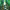 Link cover