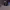 https://res.cloudinary.com/billionhands/image/upload/v1780851334/items/zbt0dfihwaa8ygqsrrdh.webp-2cover