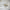 https://res.cloudinary.com/billionhands/image/upload/v1780853560/items/lqgpgwn2vesogytbn7ti.webp-1cover