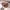 https://res.cloudinary.com/billionhands/image/upload/v1780853564/items/gf27mwworzcdgwxoqmzu.jpg-2cover