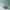 https://res.cloudinary.com/billionhands/image/upload/v1780853565/items/pf5qxwlnwglg1slw2ffh.webp-3cover