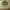 https://res.cloudinary.com/billionhands/image/upload/v1780854107/items/rfjwtc4mepij294v2gqp.jpg-3cover