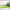 https://res.cloudinary.com/billionhands/image/upload/v1780854554/items/k1bjreesfr94zh455y6u.png-3cover