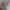 https://res.cloudinary.com/billionhands/image/upload/v1780856291/items/acu4vangzgcdpdaqsvtq.jpg-2cover