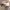 https://res.cloudinary.com/billionhands/image/upload/v1780857553/items/nioxs0uny99c4dyyh4se.webp-1cover