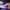https://res.cloudinary.com/billionhands/image/upload/v1780857596/items/ejtnoecchr5unejabtfq.webp-0cover