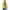 Palliser Estate Sauvignon Blanc 2024 cover