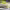https://res.cloudinary.com/billionhands/image/upload/v1780858893/items/bomqonxx97pgzh8h2dsm.jpg-3cover