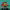 https://res.cloudinary.com/billionhands/image/upload/v1780859230/items/qkhcwvgdv8blrobsjahb.jpg-3cover