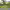 https://res.cloudinary.com/billionhands/image/upload/v1780861352/items/te5eielv3yde7okgxity.jpg-3cover