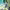 https://res.cloudinary.com/billionhands/image/upload/v1780861813/items/cimk8dqtffqgqsupjqax.webp-0cover