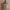 https://res.cloudinary.com/billionhands/image/upload/v1780862544/items/xkw3jcg8issa4ujelad2.webp-2cover