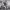 https://res.cloudinary.com/billionhands/image/upload/v1780864523/items/d4itvuvco6tjgue4hn5m.webp-1cover