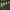 https://res.cloudinary.com/billionhands/image/upload/v1780864612/items/ptqdffpphddbevdps3yx.webp-1cover