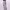 https://res.cloudinary.com/billionhands/image/upload/v1780865316/items/xntgoag9quyxy5abqov2.jpg-1cover