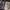 https://res.cloudinary.com/billionhands/image/upload/v1780865390/items/c70mzolqfqd4dzhfrjn1.jpg-2cover