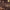 Perdón, Perdón HA-ASH cover