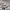 https://res.cloudinary.com/billionhands/image/upload/v1780867565/items/ojgdayhrrarshtlakcsi.webp-2cover