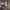 https://res.cloudinary.com/billionhands/image/upload/v1780867570/items/ckndbibtqzyuw4umjojz.jpg-0cover
