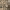 https://res.cloudinary.com/billionhands/image/upload/v1780867583/items/r2vrhj0walrdm9cg1z26.jpg-2cover