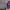 https://res.cloudinary.com/billionhands/image/upload/v1780867629/items/ch1plofbzubcbagobfwu.webp-0cover