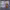 https://res.cloudinary.com/billionhands/image/upload/v1780868027/items/gtrlhrw3m9z8eiipyx1c.webp-1cover