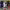 https://res.cloudinary.com/billionhands/image/upload/v1780868297/items/wawnkseqs0fhwgzbajhw.jpg-3cover