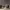 https://res.cloudinary.com/billionhands/image/upload/v1780869455/items/zbpjsfgajsa2tospmso4.webp-0cover