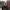 https://res.cloudinary.com/billionhands/image/upload/v1780869459/items/xgjosib4o8kxprxzikyw.jpg-2cover