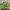 https://res.cloudinary.com/billionhands/image/upload/v1780869613/items/cih0z8hdzfxreddr6sg4.jpg-3cover