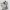 https://res.cloudinary.com/billionhands/image/upload/v1780869933/items/utm5yvkobhepai1yz4zc.webp-2cover